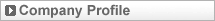 Company Profile