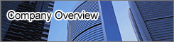 Company Overview