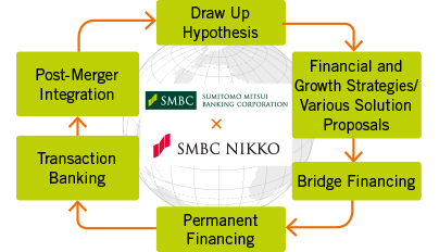 Cross-Border M&A Project