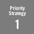 Priority Strategy 1