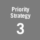 Priority Strategy 3