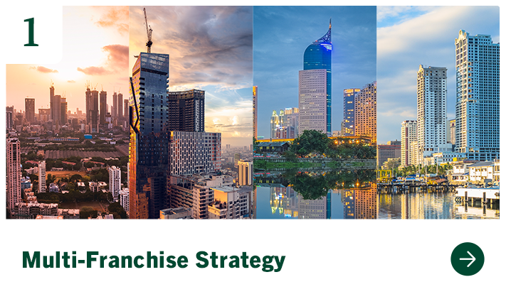 1 Multi-Franchise Strategy