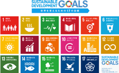 17 Sustainable Development Goals