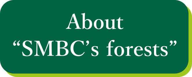 SMBC Forest Introduction Visual