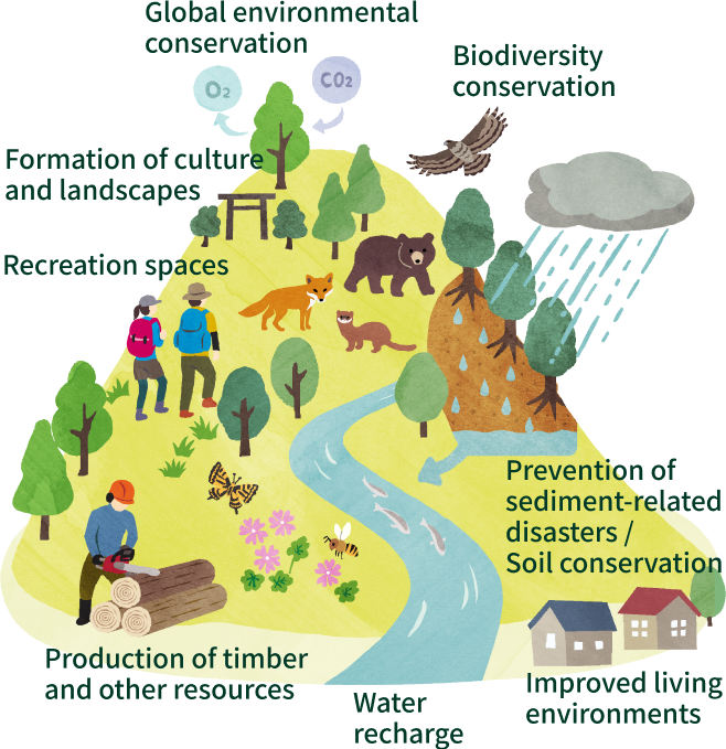 Illustration of the multifaceted functions of forests