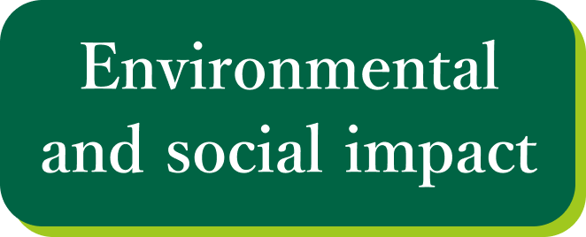 Environmental and Social Impact