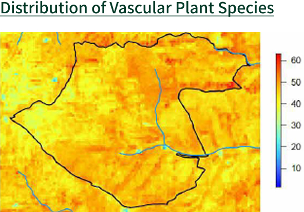 Distribution of Vascular Plant Species
