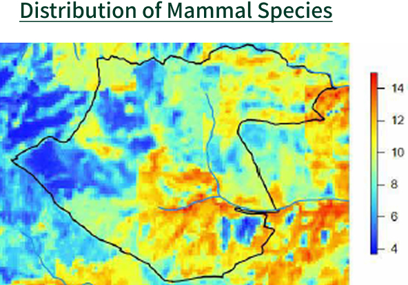 Distribution of Mammal Species