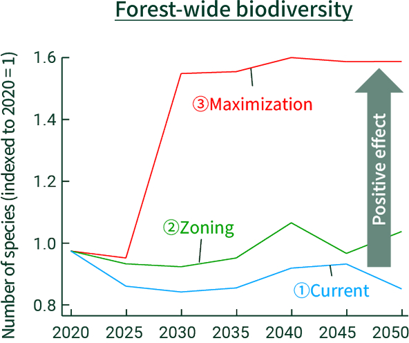Forest‑wide biodiversity