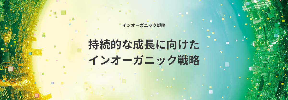 インオーガニック戦略 持続的な成長に向けたインオーガニック戦略