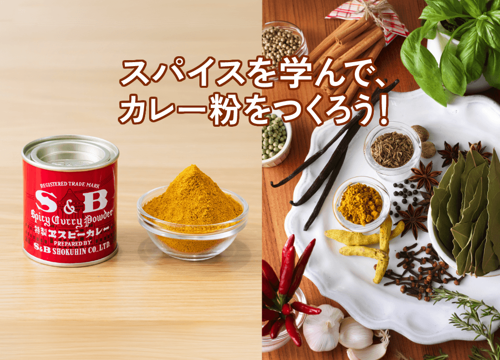 カレーのひみつ研究！体験しておいしく食べよう！
