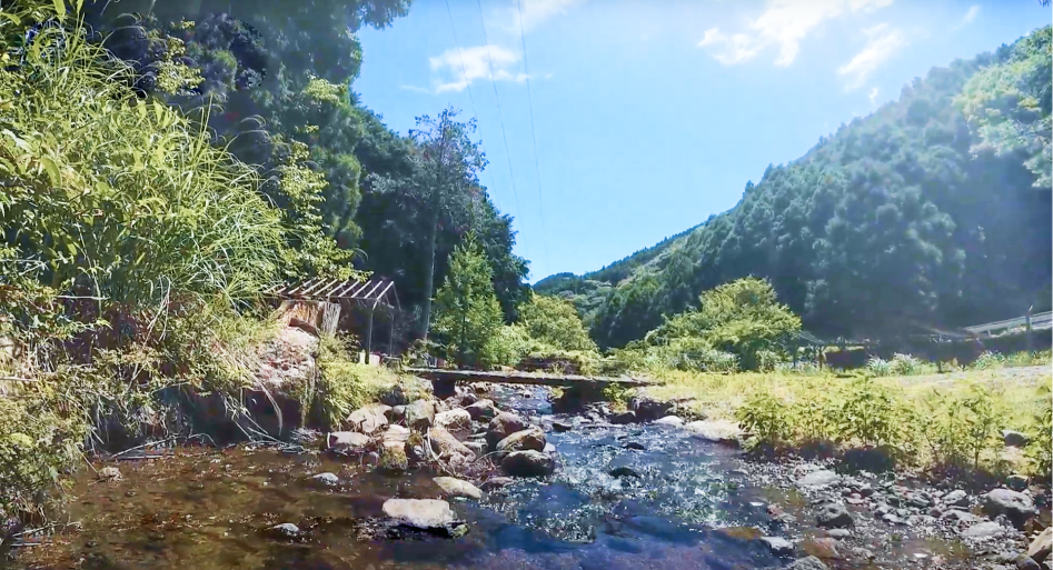 SMBCの森の風景写真1