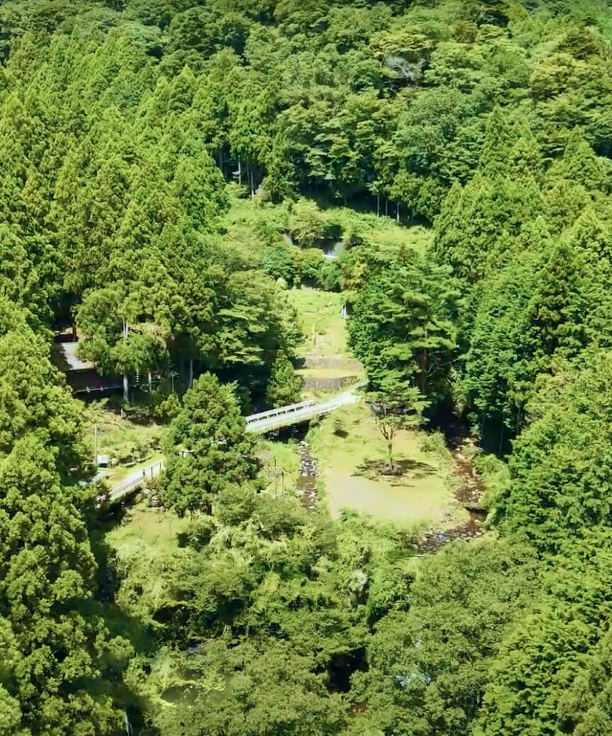 SMBCの森の風景写真3