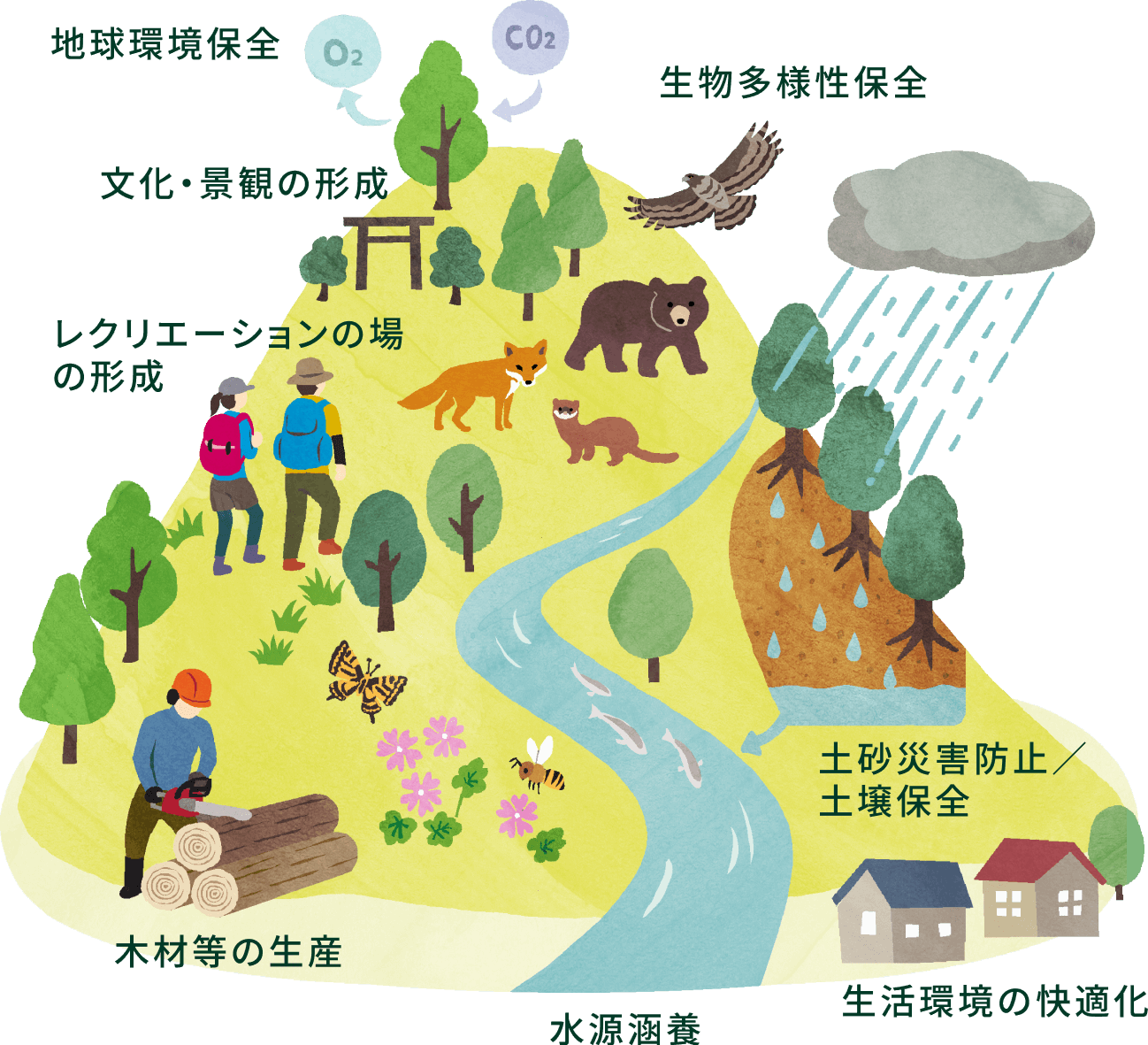 森林の有する多面的機能のイラスト