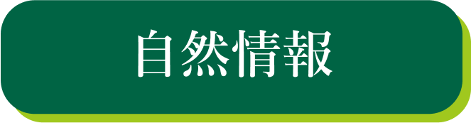 自然情報