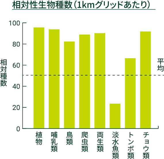 相対性生物種数（1kmグリッドあたり）
