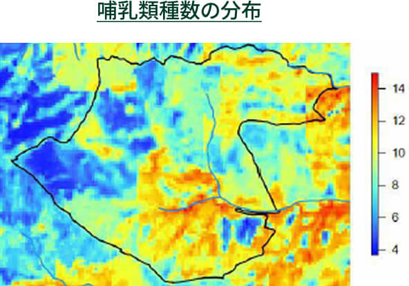 哺乳類種数の分布