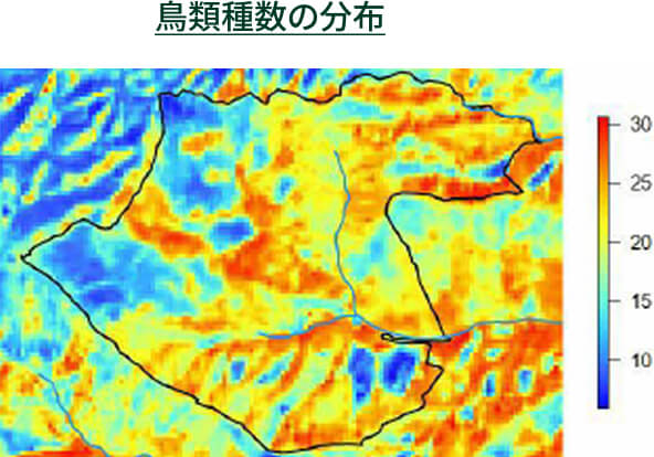 鳥類種数の分布