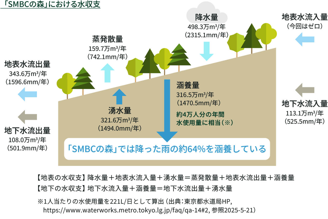 SMBCの森における水収支の図