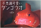 svc_SEI