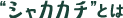 VJJ`Ƃ́H
