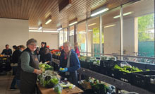 �n��̃t�[�h�o���N�ɂă{�����e�B�A�������s���܂����BWe provided support of 320 hours to the Tafel Duesseldorf by helping them with their day-to-day tasks." width="440